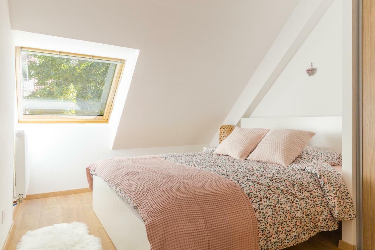 Appartement De Standing 8 Personnes Centre Historique De Colmar Dış mekan fotoğraf